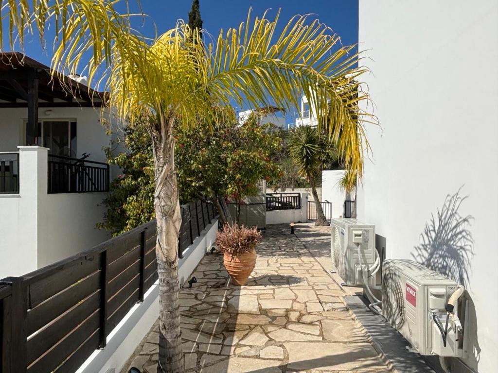 Villa Marina Sea-View Private Pool Pegeia Exteriér fotografie